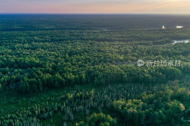 黄昏时的Muskoka Torrance Barrens Dark-Sky保护区，Gravenhurst，加拿大